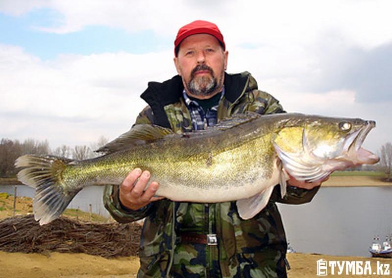 Ева Нотти мобильді порно онлайн